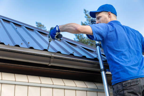 Best Sheet Metal Roofing  in Freeburg, IL