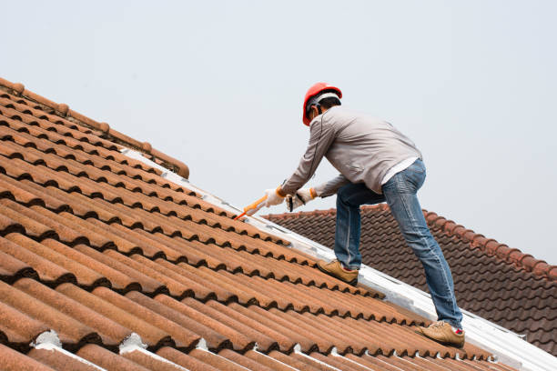 Best Asphalt Shingle Roofing  in Freeburg, IL