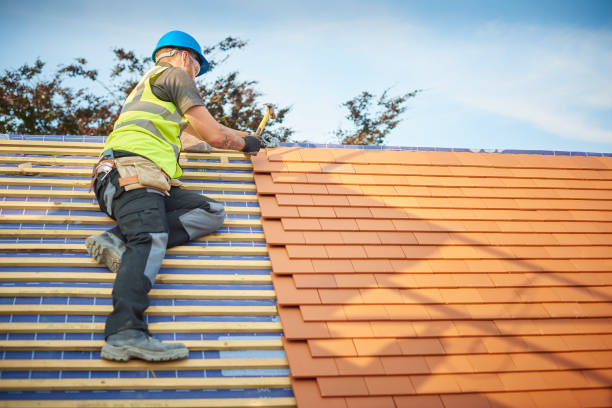 Freeburg, IL Roofing services Pros